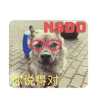 犬が話すネットスラング 改（個別スタンプ：3）