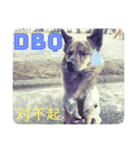 犬が話すネットスラング 改（個別スタンプ：4）