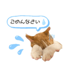 チャトくんとビビちゃん（個別スタンプ：5）