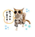 チャトくんとビビちゃん（個別スタンプ：7）