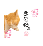 チャトくんとビビちゃん（個別スタンプ：14）