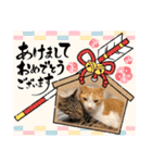 チャトくんとビビちゃん（個別スタンプ：24）