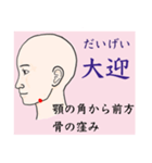 鍼灸師用！頭部、顔、頸のLINEスタンプ（個別スタンプ：5）