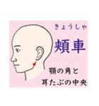 鍼灸師用！頭部、顔、頸のLINEスタンプ（個別スタンプ：6）