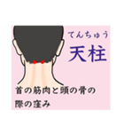 鍼灸師用！頭部、顔、頸のLINEスタンプ（個別スタンプ：13）