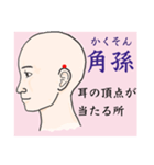 鍼灸師用！頭部、顔、頸のLINEスタンプ（個別スタンプ：15）