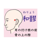 鍼灸師用！頭部、顔、頸のLINEスタンプ（個別スタンプ：16）