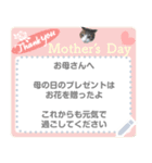 【実写版】トラとハチワレ【メッセージ①】（個別スタンプ：3）