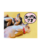 ミリコア（個別スタンプ：7）