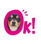 ミリコア（個別スタンプ：11）