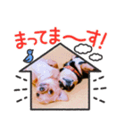 ミリコア（個別スタンプ：14）
