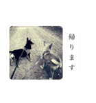 ミリコア（個別スタンプ：15）