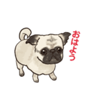 挨拶チワワパグ（個別スタンプ：1）