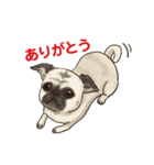 挨拶チワワパグ（個別スタンプ：3）