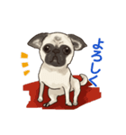 挨拶チワワパグ（個別スタンプ：4）