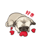 挨拶チワワパグ（個別スタンプ：7）