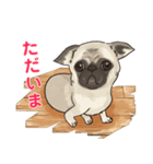 挨拶チワワパグ（個別スタンプ：8）