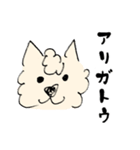 うちのもふ犬（個別スタンプ：1）