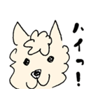 うちのもふ犬（個別スタンプ：6）