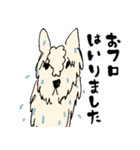 うちのもふ犬（個別スタンプ：38）