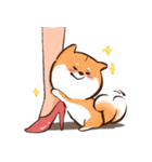 柴犬シュウマイ君（個別スタンプ：1）