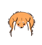 柴犬シュウマイ君（個別スタンプ：3）