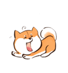 柴犬シュウマイ君（個別スタンプ：5）