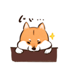 柴犬シュウマイ君（個別スタンプ：15）
