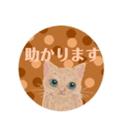 大人可愛シックな子猫達②丁寧で便利な敬語（個別スタンプ：2）