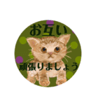 大人可愛シックな子猫達②丁寧で便利な敬語（個別スタンプ：3）