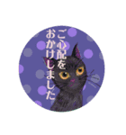 大人可愛シックな子猫達②丁寧で便利な敬語（個別スタンプ：7）