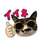 チョビナナ（個別スタンプ：1）
