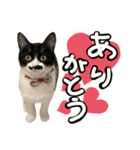 チョビナナ（個別スタンプ：3）