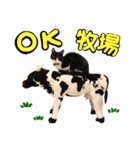 チョビナナ（個別スタンプ：4）