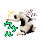 チョビナナ（個別スタンプ：8）