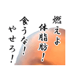 【減量】断食坊主（個別スタンプ：13）