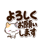小さい三毛猫【太文字】（個別スタンプ：3）
