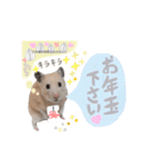 #つめこみきなさん③♪（個別スタンプ：1）