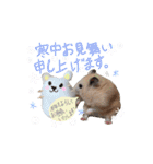 #つめこみきなさん③♪（個別スタンプ：2）