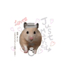 #つめこみきなさん③♪（個別スタンプ：3）