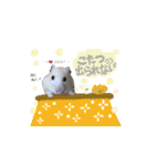 #つめこみきなさん③♪（個別スタンプ：4）