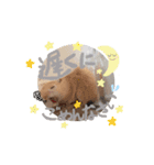 #つめこみきなさん③♪（個別スタンプ：7）