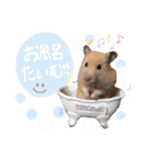 #つめこみきなさん③♪（個別スタンプ：8）