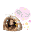 #つめこみきなさん③♪（個別スタンプ：9）