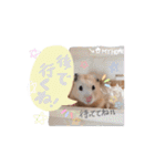 #つめこみきなさん③♪（個別スタンプ：10）