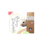 #つめこみきなさん③♪（個別スタンプ：11）