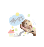 #つめこみきなさん③♪（個別スタンプ：12）
