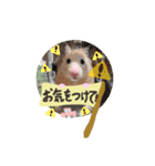 #つめこみきなさん③♪（個別スタンプ：14）