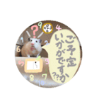 #つめこみきなさん③♪（個別スタンプ：16）