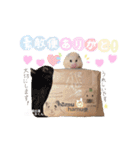 #つめこみきなさん③♪（個別スタンプ：18）